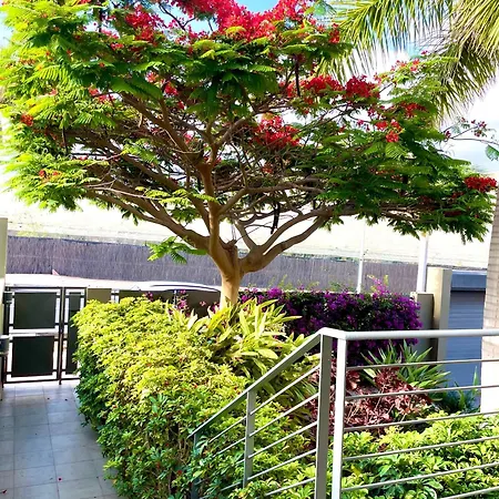 Miradoiro Appartement *